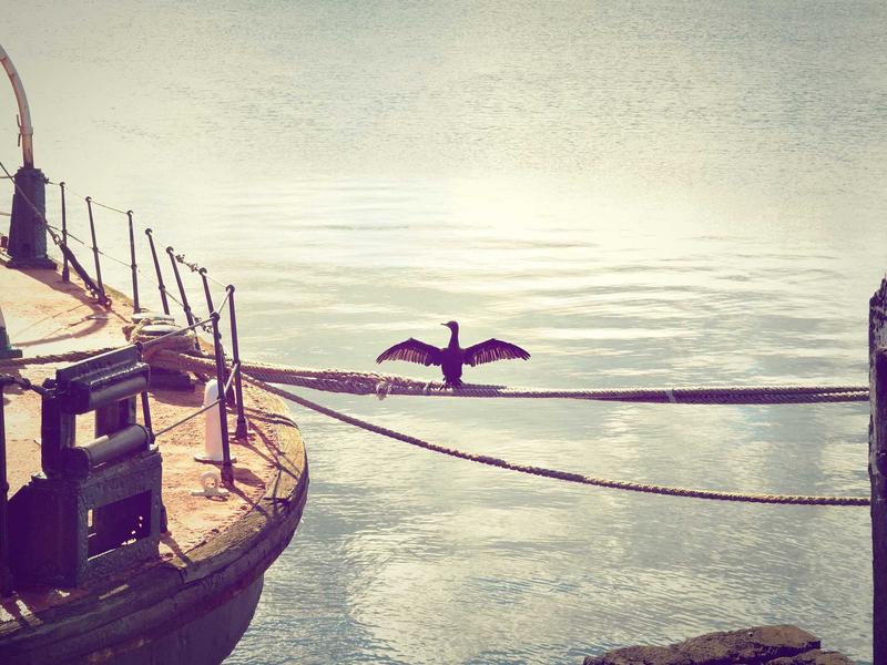 VotRelisQam Puerto Plata